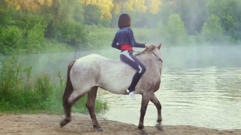 Girl rider riding a horse out of the water in the fog in the early morning