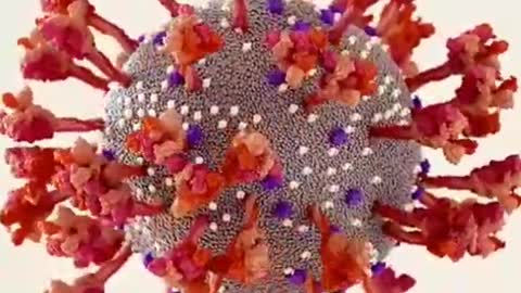 Novel Coronavirus animation demo video