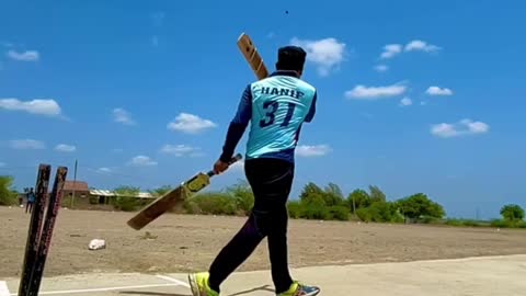 Funny cricket P3 with 2 bat