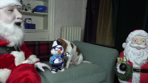 Dogs Think Santa is Intruder! Funny Dogs , Potpie, & Penny Holiday Battle wSanta Claus