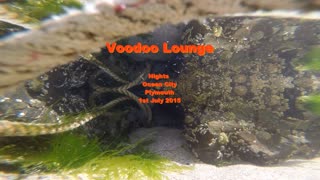 Voodoo Loung Culture Festival 2015 Plymouth the Ocean City Part 1 of 4