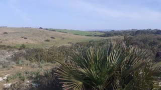 180° view of nature - Sourrounded by the green
