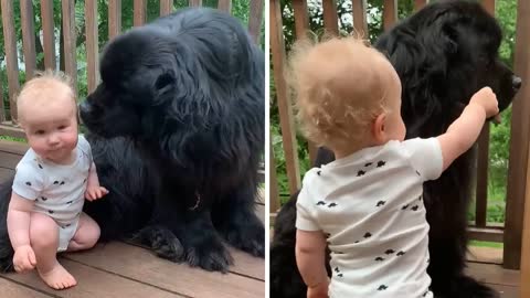 Baby has adorable reaction to new puppy addition