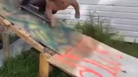 dwarf gets bad on the skate ramp. unbelievable fall Funny video Viral Funny meme Viral file