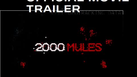 2000 Mules Official Movie Trailer
