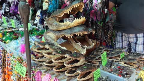 Alligator heads for sale. Stall at the flea market inside the French