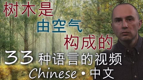 Trees Are Made of Air - in CHINESE & other 32 languages (popular biology)