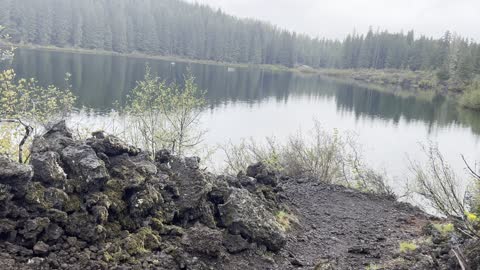 Volcanic Shoreline + Old Growth Forest – Clear Lake Loop – Willamette National Forest – 4K