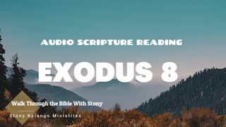 Exodus Chapter 8 - Day 58 of Walking Through The Entire Bible With Stony Kalango