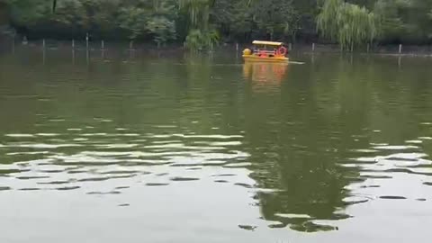 A boat on the lake