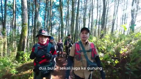 Climbing Mount Kendeng seems rarely touched but there is a lot of illegal logging