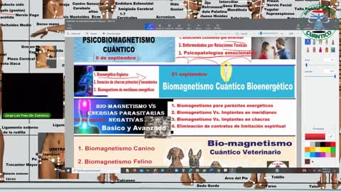 Biomagnetismo Cuántico Para Efectos secundario de la vacuunna en cerebro-corazón-riñón-pulmón-hígado