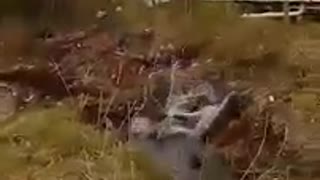 Trailer park mud ditch jump