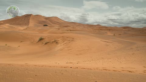 The One MILLION Dollar Camel Race! | Wild Arabia