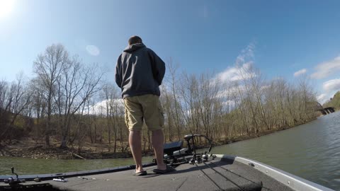 Allegheny River - April 10, 2021