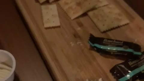 a beer snack cracker