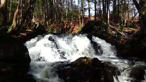 Cascades