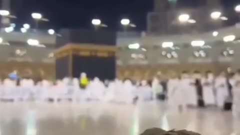pigeons in Mecca to Allah Almighty
