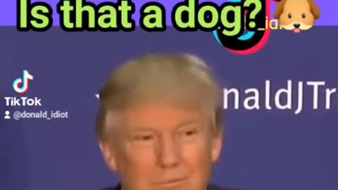 Is that a dog? - Oh it's Hillary