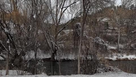 Trax at the park on a snowy day