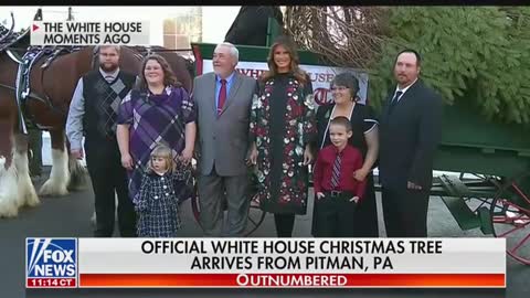 Christmas tree arrives at the White House