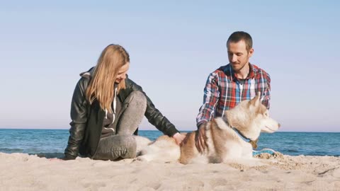 Young caucasian couple on beach with siberian husky dog