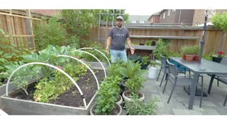 Growing food in urban small space