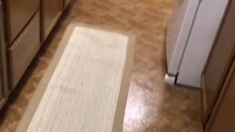 Little girl pajama dress runs into kitchen and falls