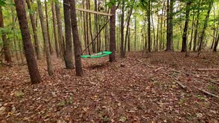 Swinging in the Woods