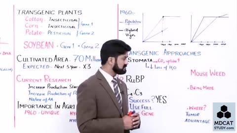 LEC#11 TRANSGENIC PLANTS