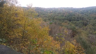 Clear Fork Gorge Mohican State Forest #4/5 10/27/21