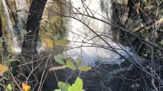 Waterfall in the fall