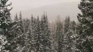 Winter Stock Footage Cold Weather Snow Winter