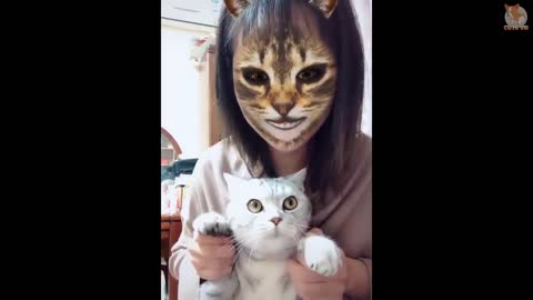 🤣Funny Dogs & Cats Scared Of Cat Mask Filter - Dog & Cat Reaction To Mask Filter