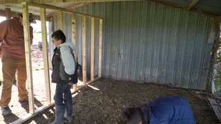 Building a Farrowing pen