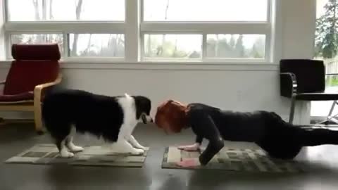 Dog is doing Yoga with Owner.