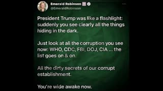 President Trump turned on the lights for us