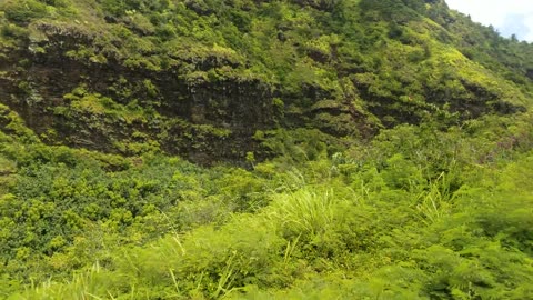 Waterfall on Island of Kauai