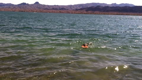 BodyBeach Havasu