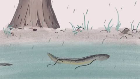 Lungfish can live for years in arid soil
