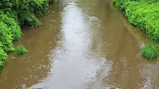 A river with murky water filmed from a bridge / beautiful muddy river.