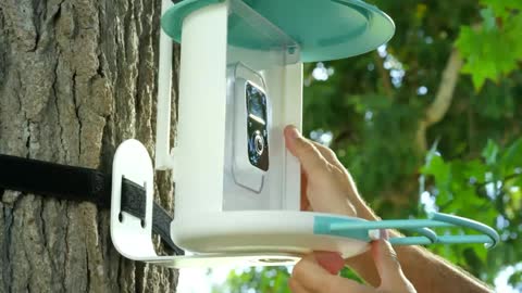 NETVUE Birdfy Lite- Smart Bird Feeder Camera, Bird Watching Camera Auto Capture Bird Videos