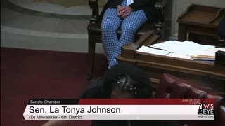 Wisconsin State Senator LaTonya Johnson says “fuck the suburbs” on the senate floor .