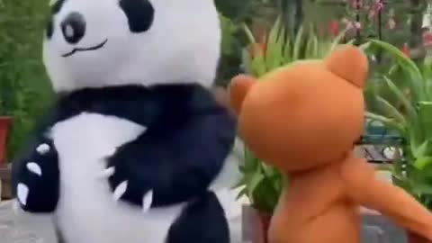 Funny panda