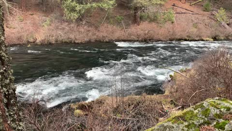 Adventuring Along the Incredible Metolius River – Central Oregon