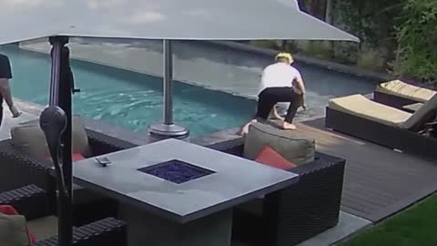 Little puppy accidentally fall in to the pool