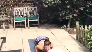 Dogs interrupting yoga practice
