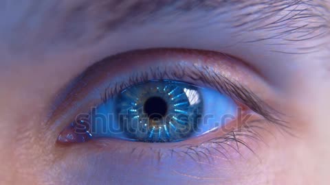 Human Eye Retina
