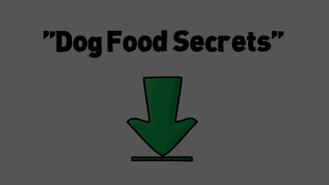 Healthy Dog homemade recipes