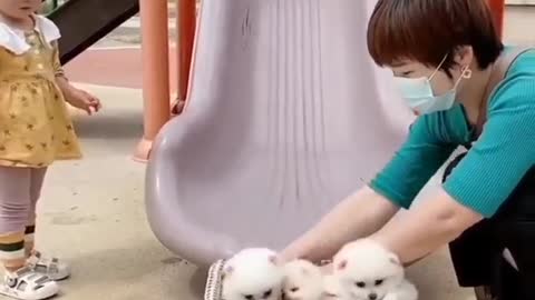 Cats playing with children and Funny